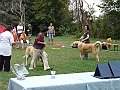 img 038